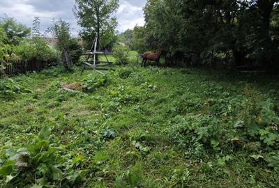 Teren de 854 mp, în Lipănești - 1
