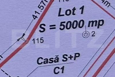 Spațiu comercial, în Predeluț - 3