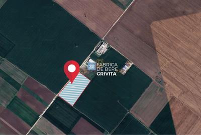 Teren generos in Sudul Capitalei, 25.000 mp, langa Berceni si nod rutier A0 - 3