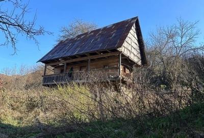 Domeniu de vinzare - 3