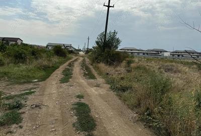 Teren de 20000 mp, în Vârteju - 1