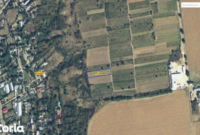 Teren de 2000 mp, în Negrilești - 2