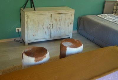 Apartament cu doua camere situat in Busteni - 7