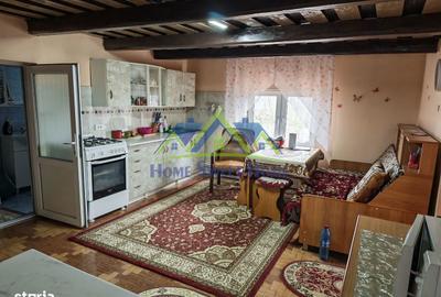 Casă cu 3 camere cu Teren 3996 Mp în Ghelari - 11