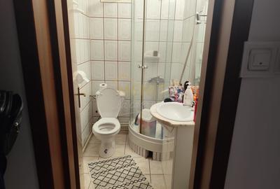 Duplex cu 10 camere cu Teren 2600 Mp în Albert - 17