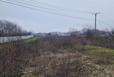 Teren Construcții intravilan de 1250 mp, în Malu Mare - 2