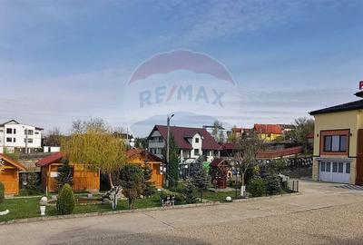Spațiu comercial, de 750 mp, în Făget - 12