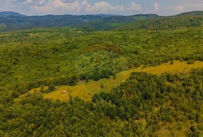 Teren de 6155 mp, în Grid