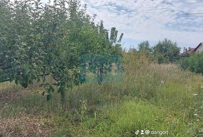 Casă cu 8 camere cu Canalizare în Drăguțești - 19