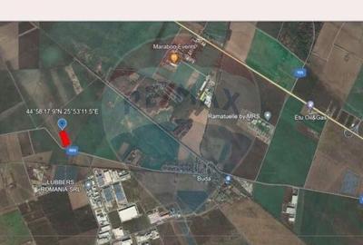 Teren Investi?ional de 52500 mp in Arice?tii Rahtivani... - 4