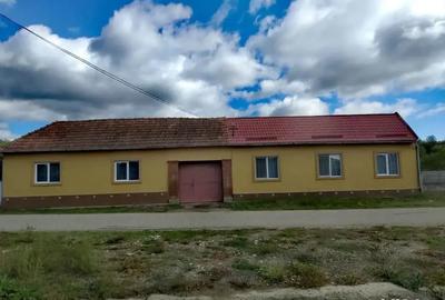 Casă cu 6 camere cu Teren 3000 Mp în Mănăștiur - 8