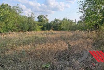 Topolova?u Mare Casa si Teren 1683 mp - 48.500 euro - 17