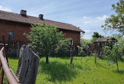Casă cu Teren 5000 Mp în Central - 3