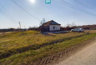 Casă cu Potențial Imens în Șipet, comuna Tormac - 4