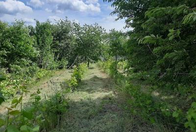 Teren de 1100 mp, în Tomești