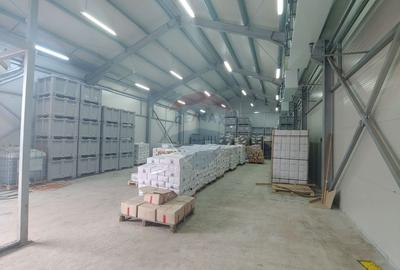 Spațiu industrial, de 292 mp, în Dumbrăveni - 12