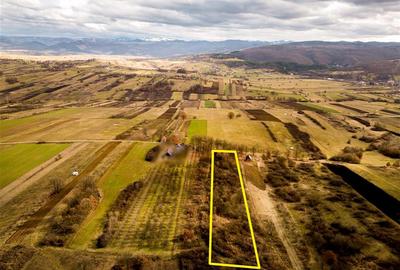 Teren Construcții intravilan de 5361 mp, în Vadu Crișului - 2