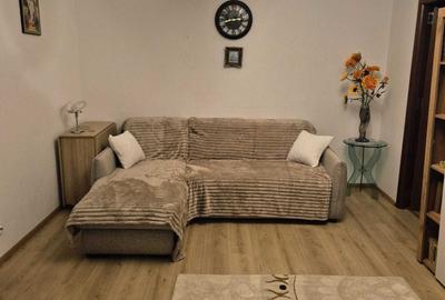 Apartament cu 3 camere semidecomandat în Gorjului - 3