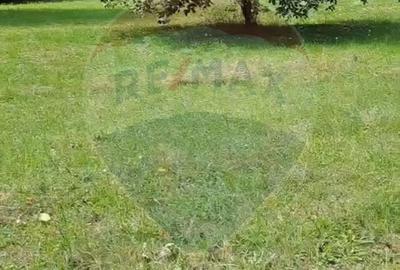 Casa langa parau-sat Brusturi, com. Halmagiu - 9