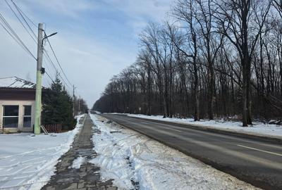 Teren Construcții intravilan de 645 mp, în Ciofliceni - 14