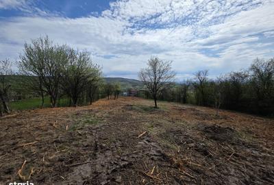 Teren de 6704 mp, în Hărău - 12