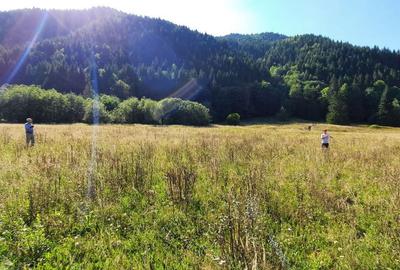 Spațiu comercial, în Brateș - 8