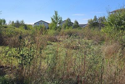 Comuna 1 Decembrie, Jud. Ilfov, teren strada Sperantei - 2