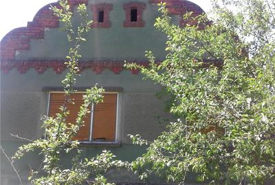 Casă cu 8 camere în Belinț - 4