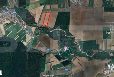 Teren de 90000 mp, în Puchenii Mari - 1