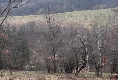 6000 MP teren intravilan, sat Bistrita, 9 Eur/MP - 1