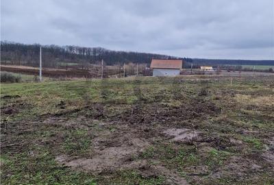 Spațiu comercial, în Păușa - 2