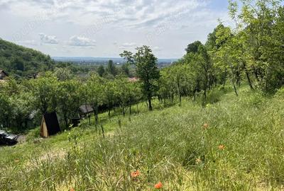 Casă cu 4 camere în Central - 5