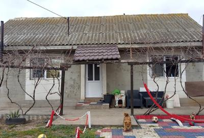 Casă individuală cu 2 camere cu Teren 700 Mp în Lumina - 1