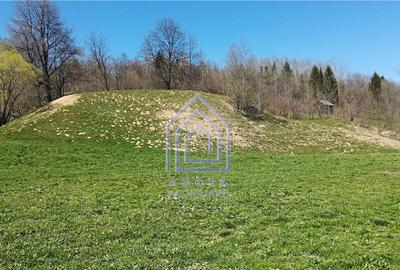 Teren in Suceava, Vama, Salatruc - 6