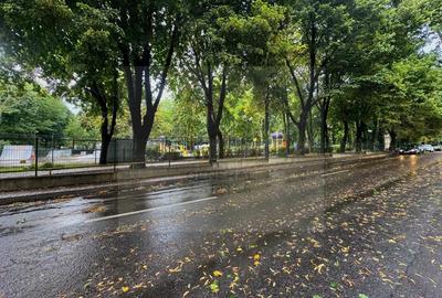 Vanzare Casa cu aplasare Strategica - Copou - Parcul Expozi?iei - 15