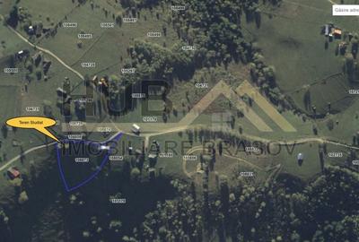 Oportunitate Investitie | Teren Pestera | 2.090mp | Utilitati Gaz/Curent | PUZ - 10