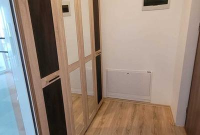 Apartament cu 2 camere semidecomandat în Dumbrăvița - 3