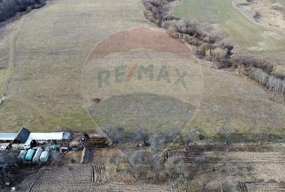 Teren 2925 mp comuna Mitocu Dragomirnei - 3