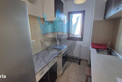 Apartament cu 2 camere, mobilat în Valea Oltului - 17