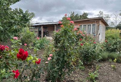 Casa cu 3 camere Zaicesti - 2