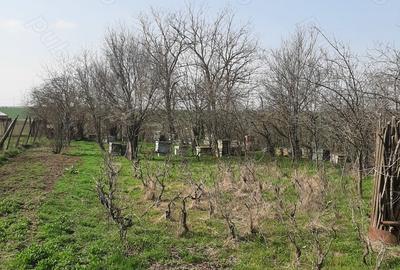 Casă cu 4 camere în Drăgănești-Vlașca - 4