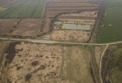 Teren extravilan in Ineu - 8