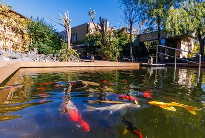 De vânzare – Proprietate Exclusivistă - Comision 0% - 11