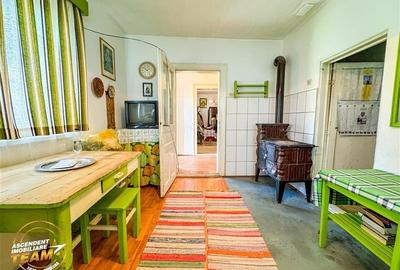 Refugiu cu farmec rustic cu:spatii auxiliare si 1.500 mp teren,Santionlunca,Cova - 9