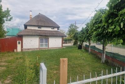 Casă cu 4 camere în Deleni - 6