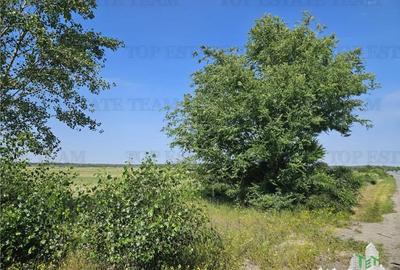 Teren de 219413 mp, în Florești - 2