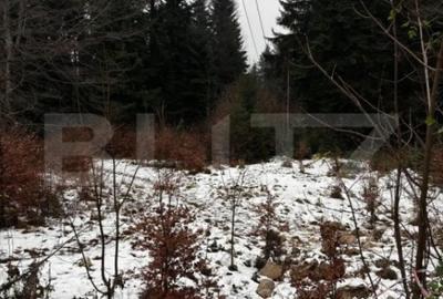 Teren de 4000 mp, în Calea Moroieni - 14