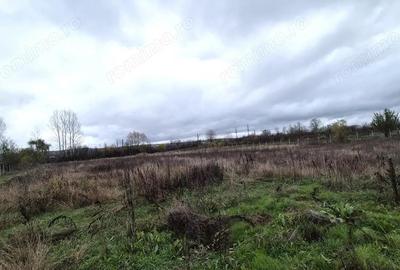 Vanzare loturi teren intravilan 6.524 mp, cartier Iezureni, Targu Jiu - 2