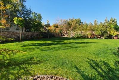 Vila de Lux în Pipera – Ideală pentru Hotel, Școală, Grădiniță sau Reședință Vila de Lux în Pipera – Ideală pentru Hotel, Școală, Grădiniță sau Reședință - 6