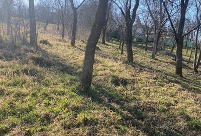 Teren Construcții intravilan de 2100 mp, în Feiurdeni - 6